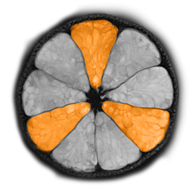 MRICON logo